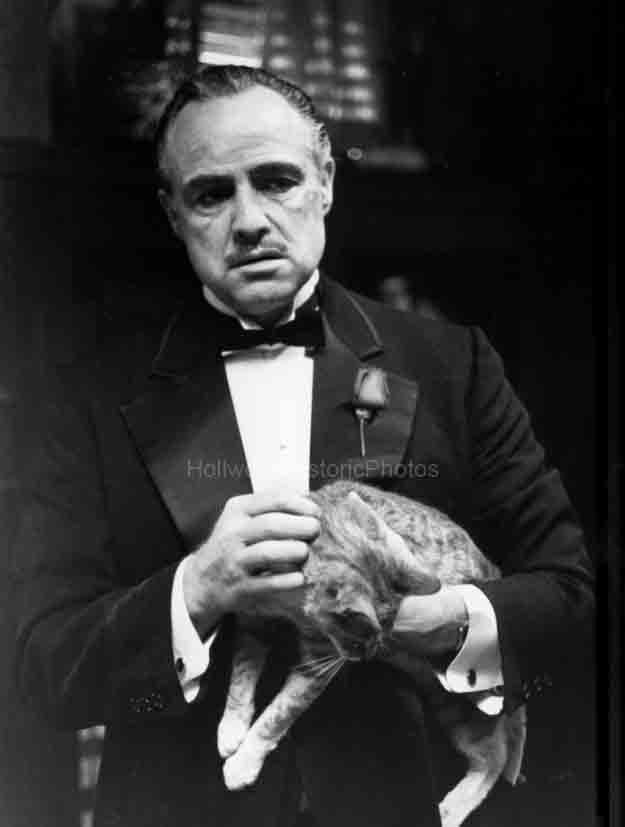 Marlon Brando 1972 4.jpg